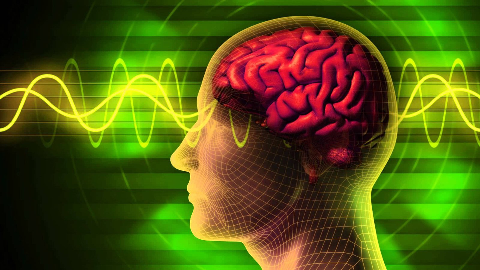 What is Consciousness?